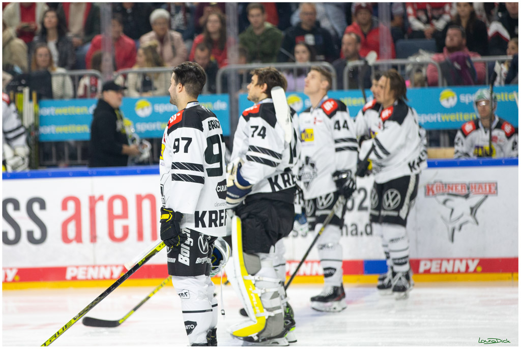 PENNY DEL;  Koelner Haie - Krefeld Pinguins; Koeln, 31.10.2021